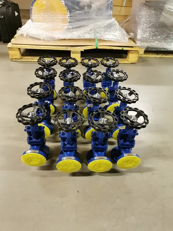 Small bore valves on pallets for Gimi FLNG